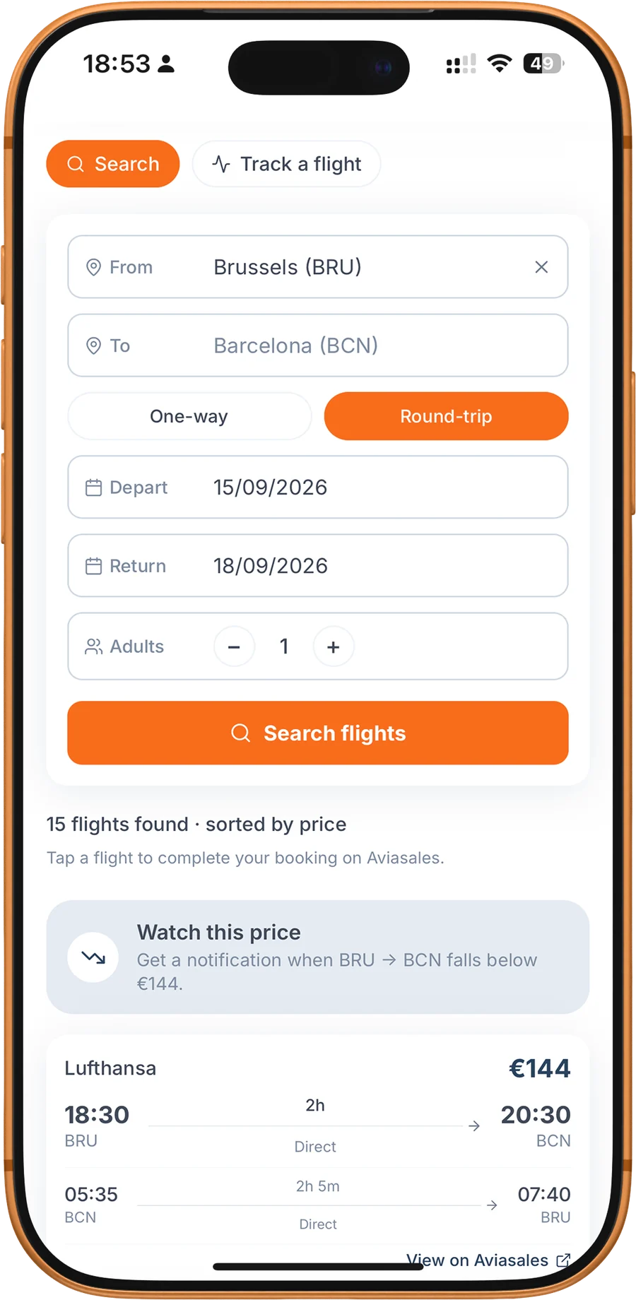 Flight search with a price watch